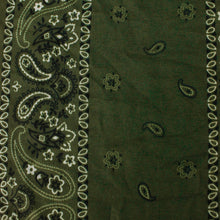 Load image into Gallery viewer, Wide Tube Bandana Headband - Dark Green Paisley