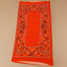 Load image into Gallery viewer, Wide Tube Bandana Headband - Orange Paisley